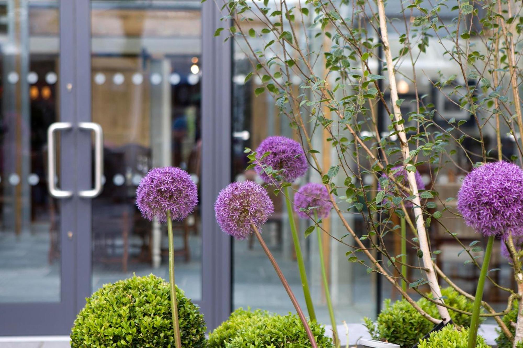 The Three Crowns 호텔 차그퍼드 외부 사진 The exterior of the hotel