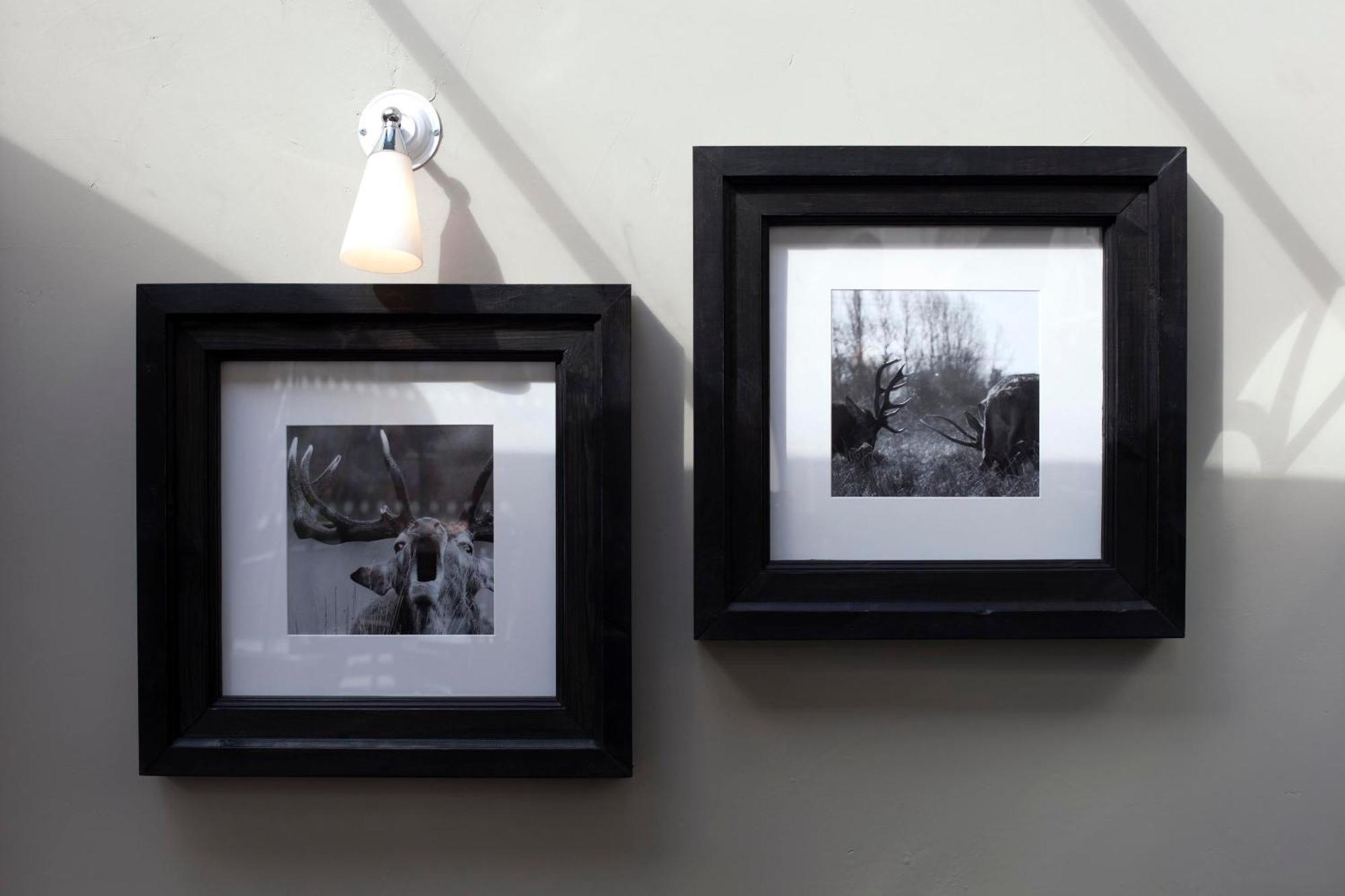 The Three Crowns 호텔 차그퍼드 외부 사진 Framed photographs